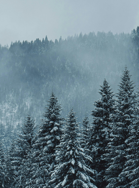 The Rewired Gift Guide